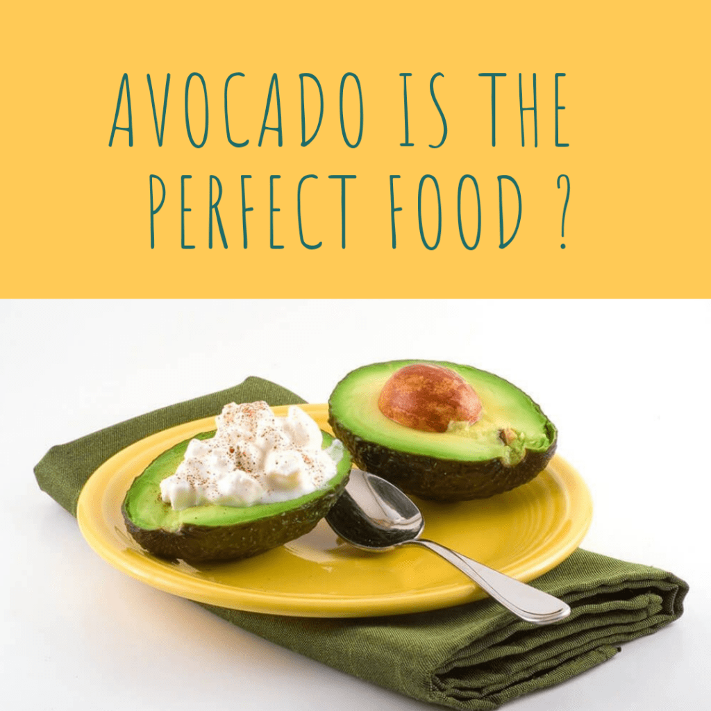 Is Avocado The Perfect Food?