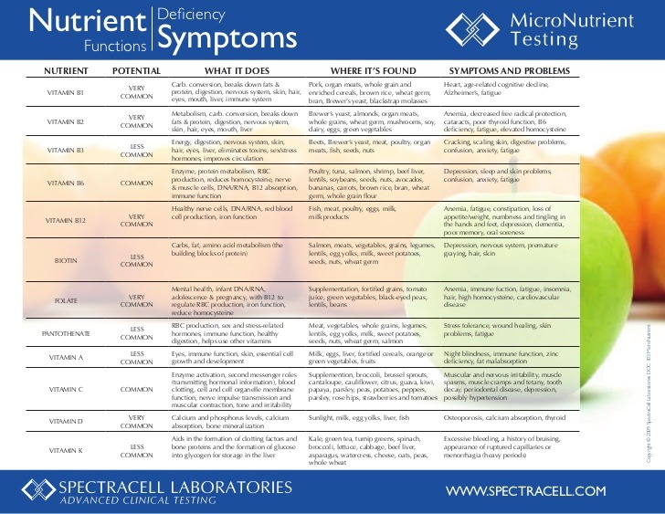 Micronutrient Nutritional Test Gina B Healthy Registered Dietitian