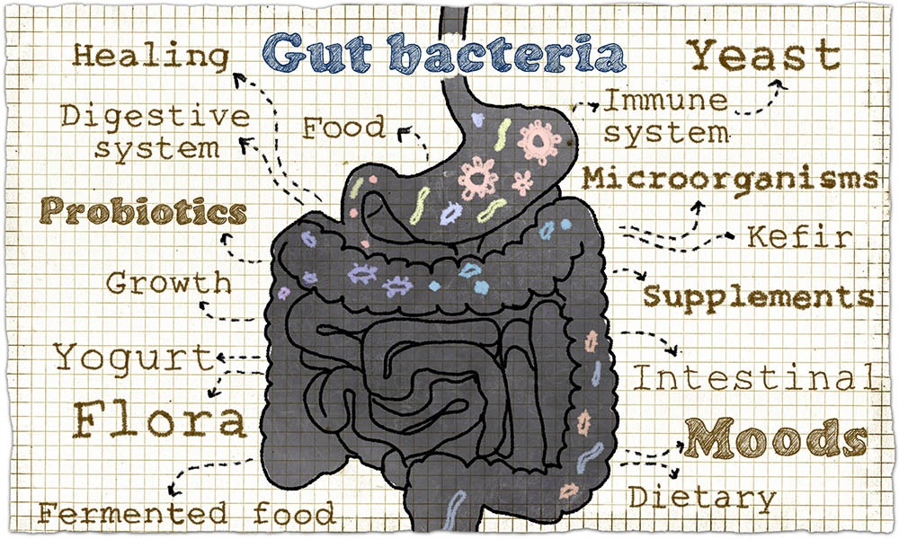 Illustration about Probiotics