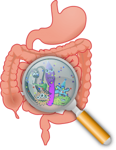 leaky gut