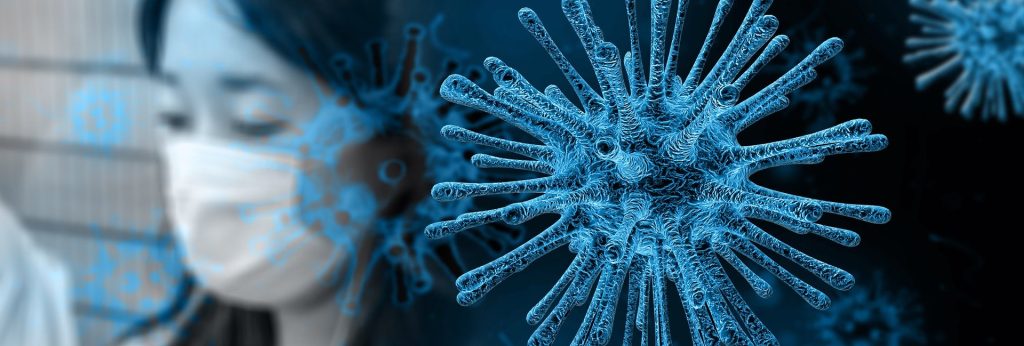 immune system